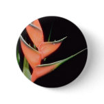 Orange Fishtail heliconia (Heliconia humilis) flow Pinback Button