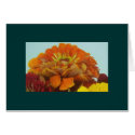 Orange Floral Card by JudiTaylor Orange Floral Card