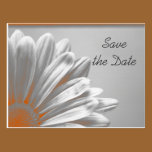 Orange Floral Highlights Wedding Save the Date postcards