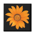 Orange Floral Magnet