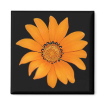 Orange Floral Magnet by mariannegilliand Orange Floral Magnet