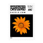 Orange Floral Stamp