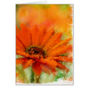 Orange Flower-2 cards