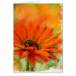 Orange Flower-2 Greeting Cards
