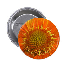 Orange Flower Buttons