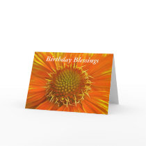 Orange Flower cards