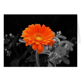 Orange Flower card-Any Occasion card