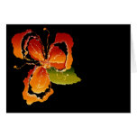 orange flower cards