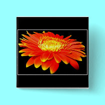 Orange Flower (Gerbera Daisy?) buttons by Artists4God Orange Flower (Gerbera Daisy?) buttons