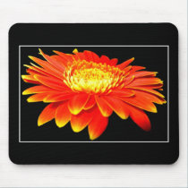 Orange Flower (Gerbera Daisy?) mousepads
