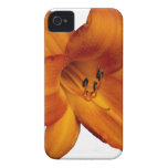 Orange Flower iPhone 4 Case casemate cases