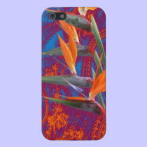 Orange Flower iPhone 5 Case iphone cases
