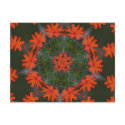 Orange Flower Kaleidoscope Photo Postcard postcard