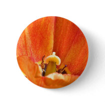 Orange flower macro buttons
