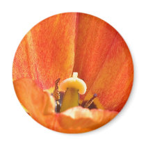 Orange flower macro magnets