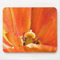 Orange flower macro mousepads