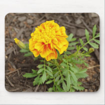 Orange Flower mousepads