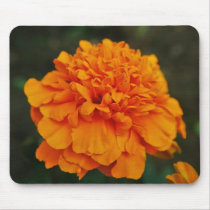 orange flower mousepads by LiamCooper orange flower mousepads