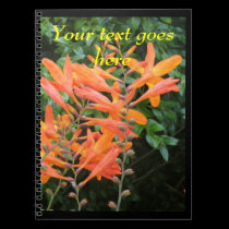 Orange flower notebook notebooks