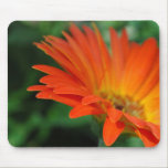 Orange Flower Petals Mouse Pad mousepads