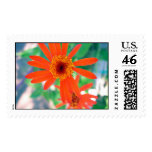 Orange Flower Stamp