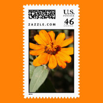 Orange Flower postage
