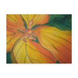 orange flower post card