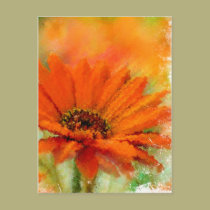 Orange Flower postcards