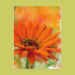 Orange Flower postcards