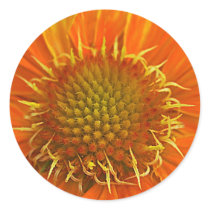 Orange Flower stickers