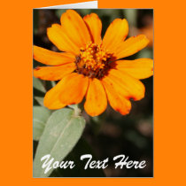 Orange Flower Template cards