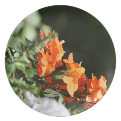 orange flowers against green back party plates