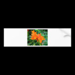 Orange Flowers bumper stickers
