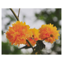 Orange flowers personalized flyer
