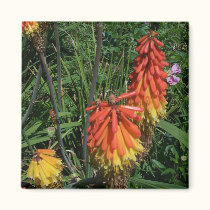 Orange flowers. magnets by Acorns_tree Orange flowers. magnets