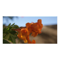 Orange Flowers Photo Greeting Card