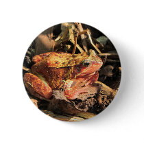 Orange Frog Button Badge