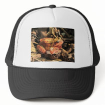 Orange Frog Hat