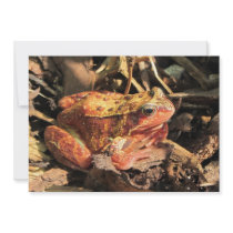 Orange Frog Invitation