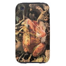 Orange Frog iPhone 3G/3GS Tough Case Iphone 3 Tough Covers