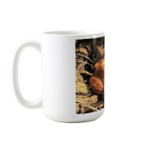Orange Frog Mug