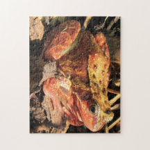 Orange Frog Puzzle/Jigsaw