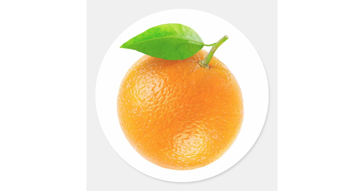 Orange fruit classic round sticker Zazzle