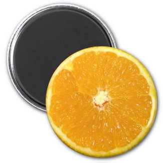 Orange Fruit - Magnet