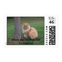 Orange Furball, Black and Orange Cat Foundation Postage Stamp