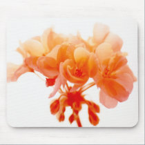 Orange Geranium mousepads