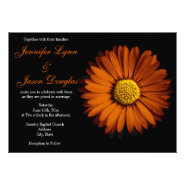 Orange Gerber Daisy Black Wedding Invitations