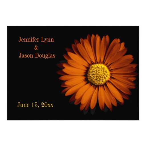 Orange Gerber Daisy Black Wedding Invitations