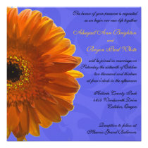 Orange Gerber Daisy Blue Wedding Invitation