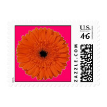Orange Gerber Daisy Postage postage